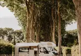 Camping De Meidoorn foto 10