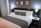 LaiLa Hotel CDMX foto 14