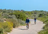 Vakantiepark Cadzand-bad foto 10