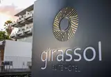Girassol foto 23