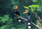 Fascinerend Indonesië foto 10