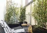 Hotel Filigrane foto 6