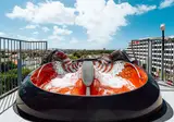 Fly & Go Mangrove Beach Corendon, Curio by Hilton foto 50