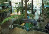 Flamingo Oasis foto 19