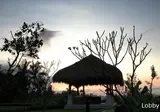 Nandini Jungle by Hanging Gardens foto 2