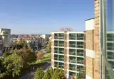 Aktinia foto 7