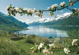 Fjorden, Gletsjers en Dalen foto 2