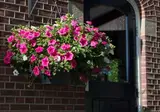 Bed and Breakfast Erve de Bosch foto 14