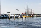 Rcn De Schotsman foto 20