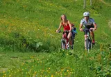 Vakantiepark Alpenchalets Flachauer Gutshof foto 29