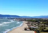 Taimí foto 18