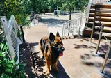 Luxor Chianti Glamping Village foto 19