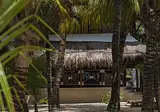 Las Nubes de Holbox foto 29