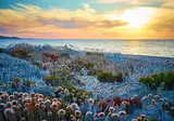 Camping Baia Paradiso foto 4