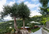 Gargiulo Resort foto 10