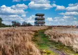 Summio Vakantiepark Het Drentse Wold foto 16