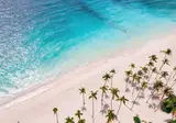 Hyatt Vivid Punta Cana, Adults Only foto 21