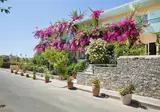 Dedalos Beach Hotel foto 18