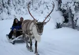 8 daagse excursiereis Explore and Experience Ruka foto 2