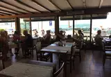 Tino foto 6