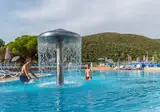 Oliva foto 1