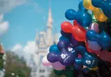 Florida op het gemak foto 9