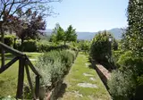 Villa Borgo San Pietro foto 22