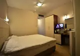 Hotel Lebed foto 6