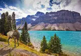 16 daagse fly drive West Canada & Rocky Mountains foto 1