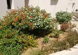 Carisa Maleme foto 25