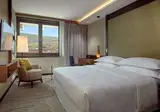 Sheraton Grand Tbilisi Metechi Palace foto 2