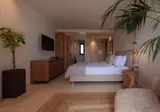 Asty Mykonos Hotel & Spa foto 14