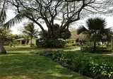 Anelia Resort & Spa foto 14