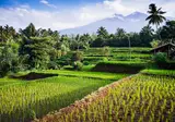 Bali, Gili en Lombok foto 11