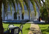 Fortunella foto 25