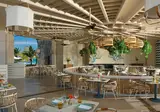 Dreams Macao Beach Punta Cana Resort & Spa foto 3