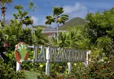 La Plantation foto 20