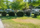 Camping Royal Océan foto 9