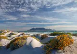 Zuid-Afrika op het Gemak foto 9