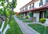 Portakal foto 14
