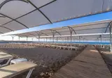 Sensitive Premium Resort & Spa foto 26