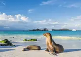 Beautiful Ecuador and Galapagos foto 1
