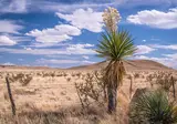 Ontdek Texas foto 16