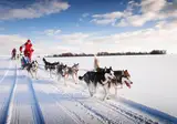 5 dg excursiereis Shortbreak Lapland Hotel Saaga foto 2