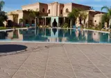Las Palmeras foto 4