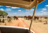 13 daagse safari Tsavo & Taita foto 5