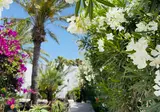 Monte Marina Naturist Resort foto 14