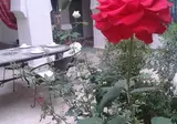 Hotel Riad Dar Bounouar foto 8