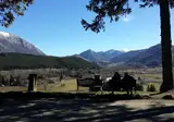 Orso Bianco foto 9