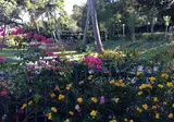 Camping San Menaio foto 4